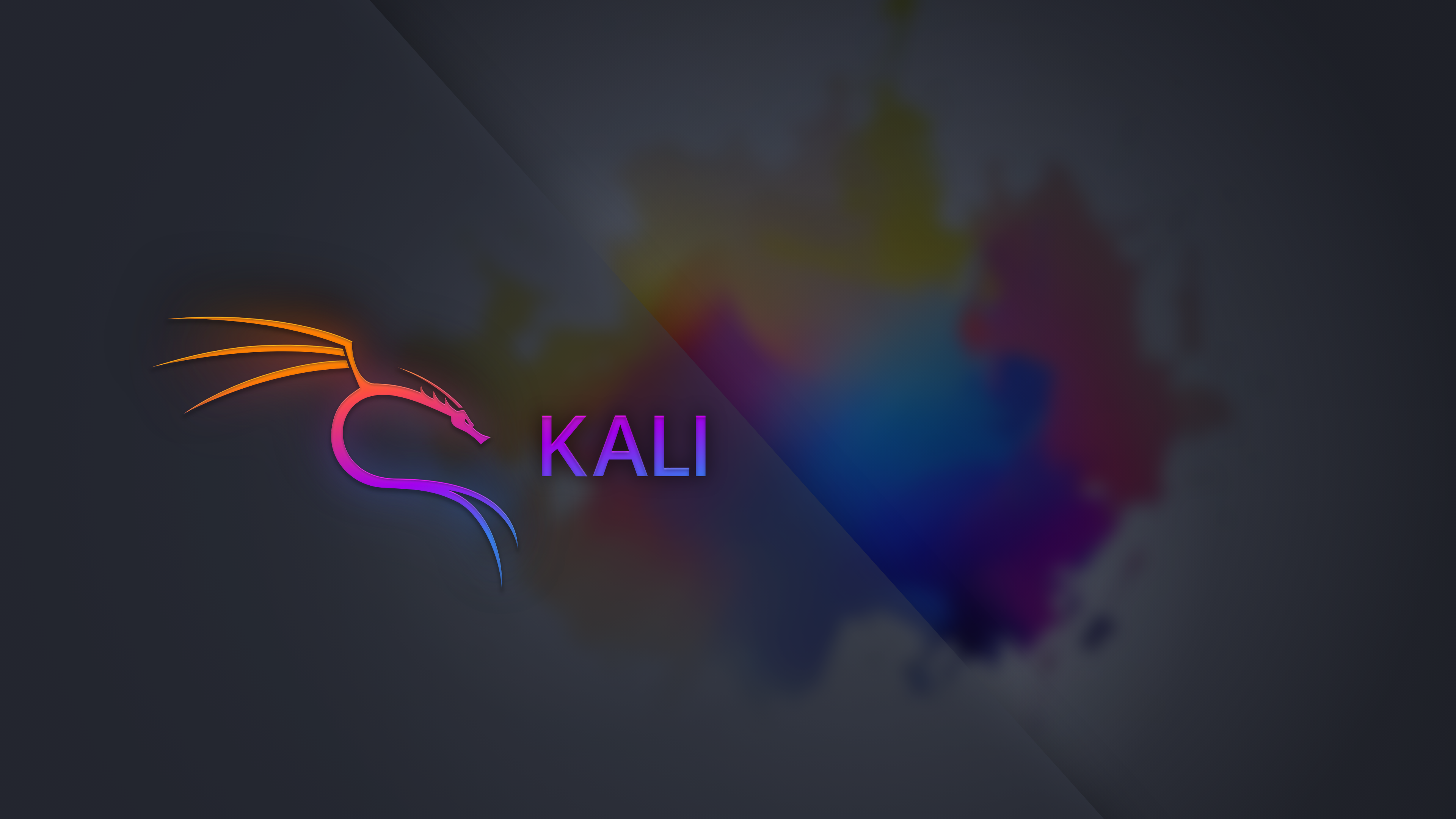 Kali Linux desktop interface